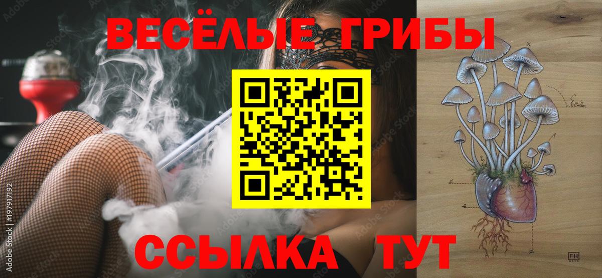 Псилоцибиновые грибы Psilocybine cubensis Ейск